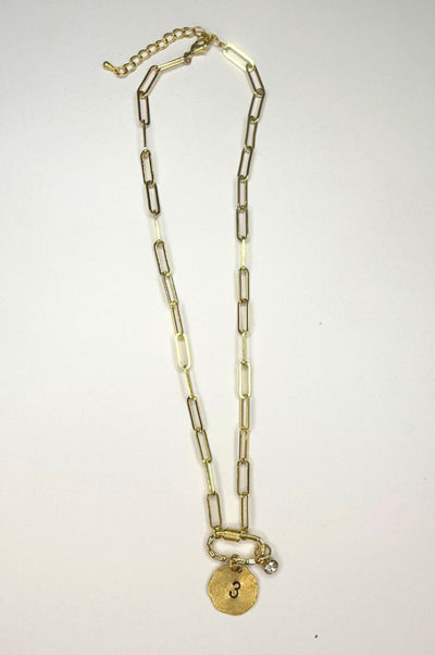 Carabiner Paperclip Chain Necklace CUSTOM