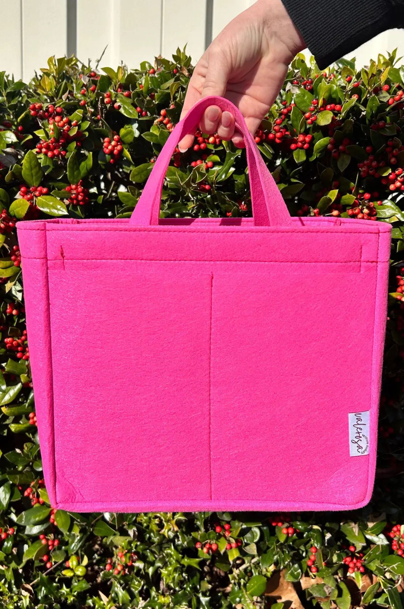 Felt Bag Organizer